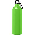 Jednostěnná láhev na vodu z nerezové oceli s karabinou 750ml, jasně zelená