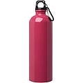 Jednostěnná láhev na vodu z nerezové oceli s karabinou 750ml, růžová