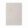 List recyklovaného papíru A5 se semínky květin