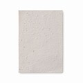 List recyklovaného papíru A6 se semínky květin