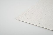 List recyklovaného papíru A6 se semínky květin