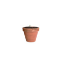 PLANTAS Tobolka se semínky květin
