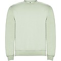 Unisex mikina Roly Clasica, velikost XS, jemně zelená