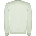 Unisex mikina Roly Clasica, velikost XS, jemně zelená