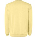 Unisex mikina Roly Jaya, velikost XS, žlutá