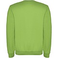 Unisex mikina s kulatým výstřihem, ROLY CLASICA, světle zelená, vel. XS