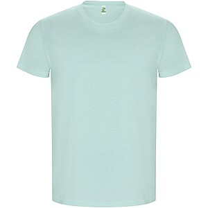 Pánské tričko s krátkým rukávem, ROLY GOLDEN, mátově zelená, vel. 3XL