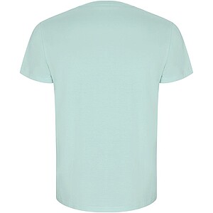 Pánské tričko s krátkým rukávem, ROLY GOLDEN, mátově zelená, vel. 3XL