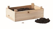Dřevěná bedýnka se semínky rajčat