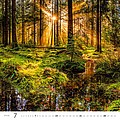 Forest 2025, nástěnný kalendář, prodloužená záda