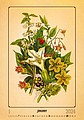 Herbarium 2026, nástěnný kalendář, prodloužená záda