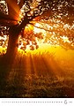 Nature Emotions 2026, nástěnný kalendář, prodloužená záda