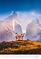 Nature Emotions 2026, nástěnný kalendář, prodloužená záda