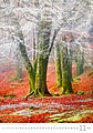 Nature Emotions 2026, nástěnný kalendář, prodloužená záda