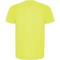 Pánské sportovní tričko s krátkým rukávem, ROLY IMOLA, fluorescenční žlutá, vel. L