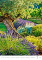 Provence 2026, nástěnný kalendář, prodloužená záda