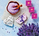 Provence 2026, nástěnný kalendář, prodloužená záda
