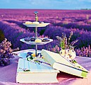 Provence 2026, nástěnný kalendář, prodloužená záda