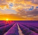 Provence 2026, nástěnný kalendář, prodloužená záda