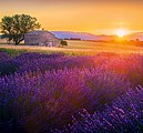 Provence 2026, nástěnný kalendář, prodloužená záda