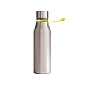 Termo láhev na pití, 450ml, stříbrná se zeleným poutkem