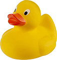 Žlutá gumová kachna