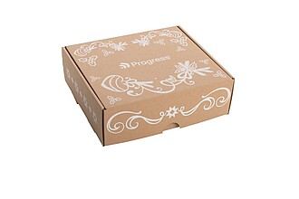 BOXELA Krabice bez potisku 28 x 25 x 9 cm, hnědá, e-vlna, střední