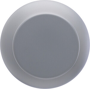 Jednostěnná láhev z nerezové oceli 800 ml, šedá