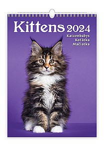 Kalendář Koťátka, 2026 - reklamní kalendáře