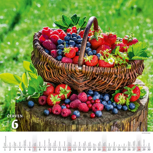 Krásy venkova nástěnný kalendář 2026