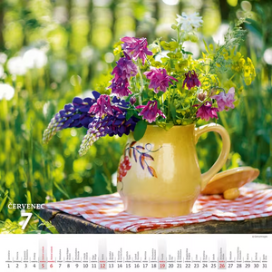 Krásy venkova nástěnný kalendář 2026