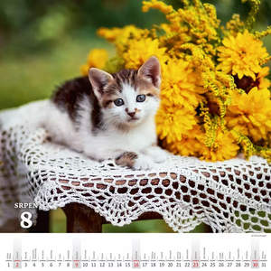 Krásy venkova nástěnný kalendář 2026