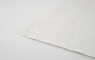 List recyklovaného papíru A4 se semínky květin