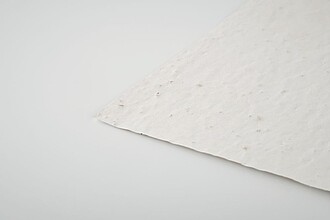 List recyklovaného papíru A6 se semínky květin