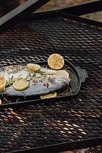 Litinová pánev, 41cm