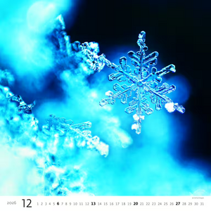 Nástěnný kalendář Aqua 2026