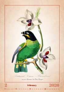 Nástěnný kalendář Aviarium 2026