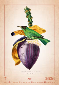 Nástěnný kalendář Aviarium 2026