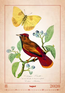 Nástěnný kalendář Aviarium 2026