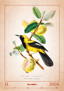 Nástěnný kalendář Aviarium 2026