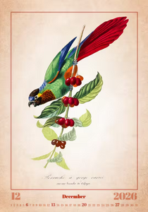 Nástěnný kalendář Aviarium 2026