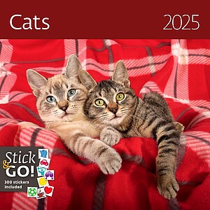 Nástěnný kalendář Cats 2026 včetně laše