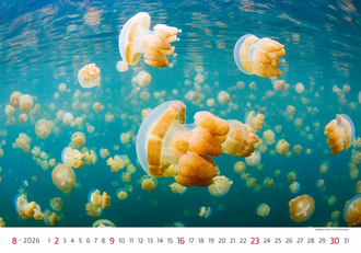 Nástěnný kalendář Deep Blue 2026