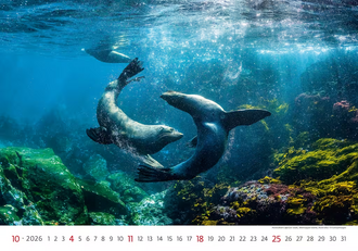 Nástěnný kalendář Deep Blue 2026