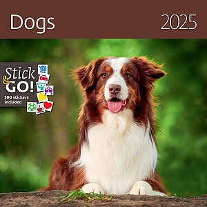 Nástěnný kalendář Dogs 2026 včetně laše