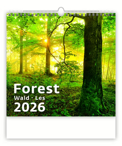 Nástěnný kalendář Forest/Wald/Les 2026 - reklamní kalendáře