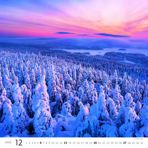 Nástěnný kalendář Forest/Wald/Les 2026