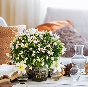 Nástěnný kalendář Hygge 2025 včetně laše