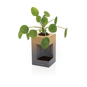 Nerezový hrnek s víčkem, 300 ml, stříbrná