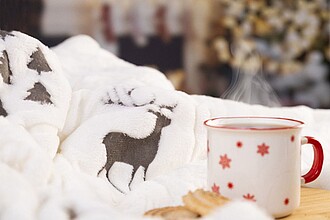 OFERA Luxusní dvouvrstvá vánoční deka, šedá